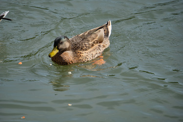 Similar image 21936659