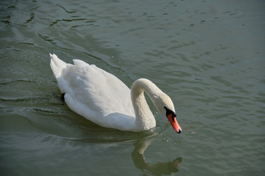 Similar image 21936660