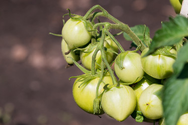 Similar image 21938781