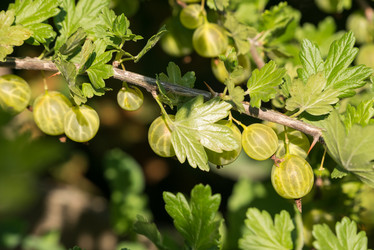 Similar image 21938782