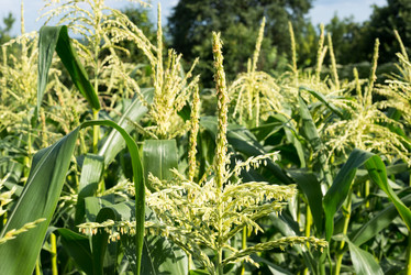 Similar image 21938786