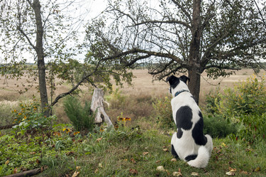 Similar image 21938787