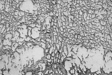 Similar image 21938795