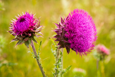 Similar image 21938985