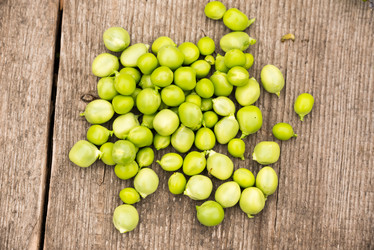 Similar image 21938986