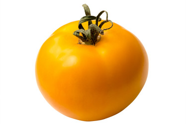 Similar image 21938988