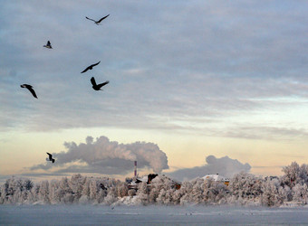 Similar image 21935783