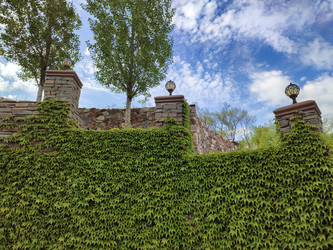 Similar image 21936531