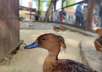 Similar image 21936537