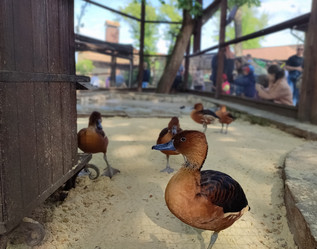 Similar image 21936538