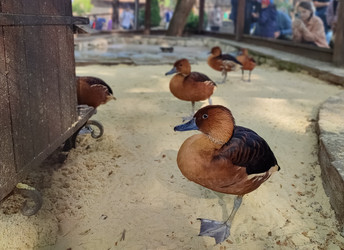 Similar image 21936540