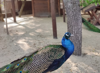 Similar image 21936541