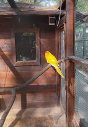 Similar image 21936542