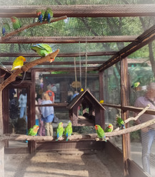 Similar image 21936543