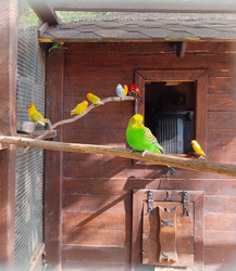 Similar image 21936546