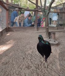 Similar image 21936547