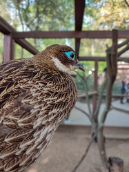 Similar image 21936548