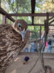 Similar image 21936549