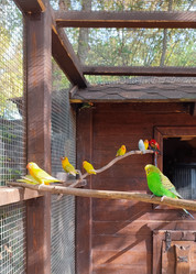 Similar image 21936550