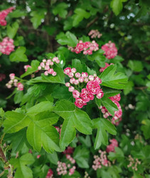 Similar image 21936551