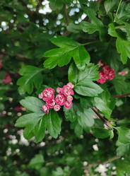 Similar image 21936552