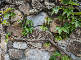 Similar image 21936555