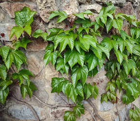 Similar image 21936556