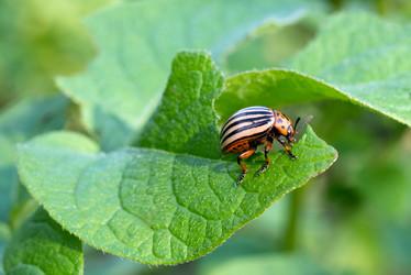 Similar image 21939345