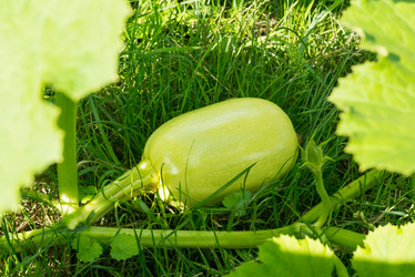 Similar image 21939347