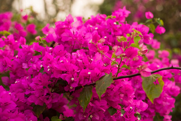 Similar image 21938659