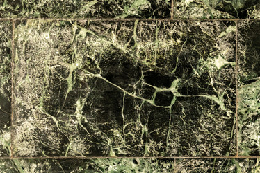 Similar image 21938667