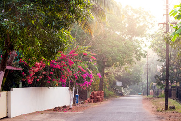 Similar image 21938804