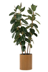 Similar image 21938807