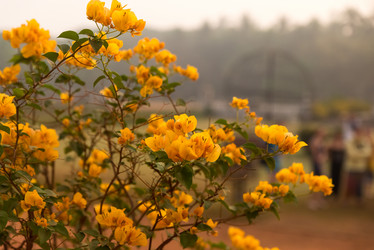 Similar image 21938813