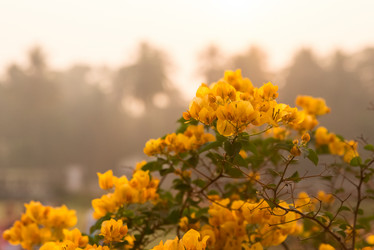 Similar image 21938817