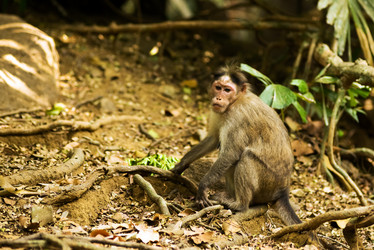 Similar image 21938823