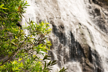 Similar image 21938831