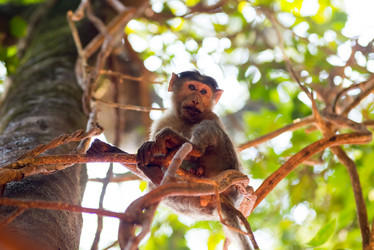 Similar image 21938833