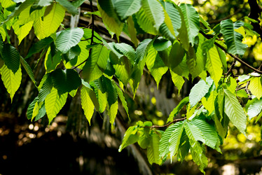 Similar image 21938835