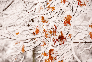 Similar image 21938836