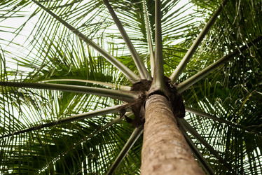 Similar image 21938844