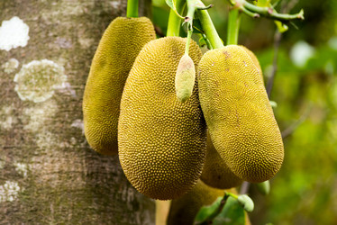 Similar image 21938845