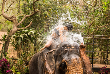 Similar image 21938846