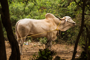 Similar image 21938849