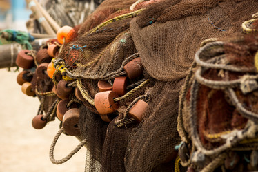 Similar image 21938850