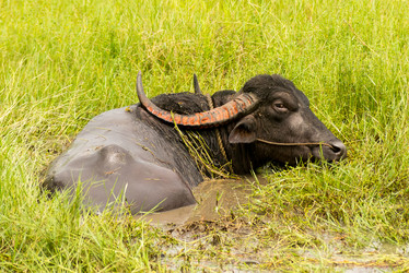 Similar image 21938851