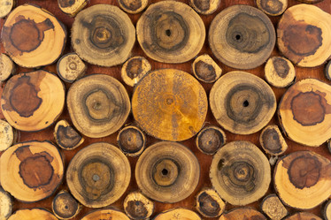 Similar image 21937730