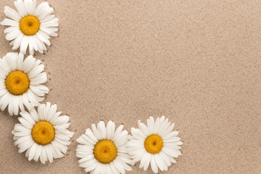 Similar image 21937742