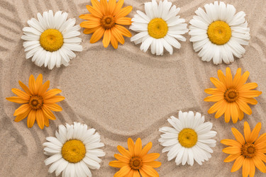 Similar image 21937744