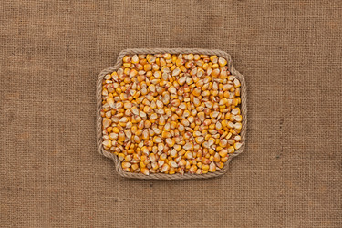 Similar image 21937792